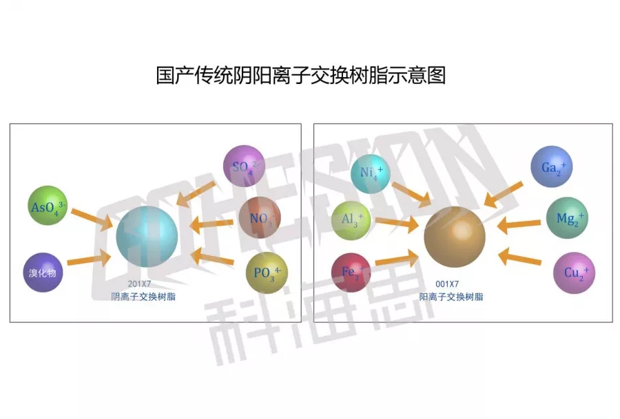 1.webp (3).jpg 1.webp (3).jpg