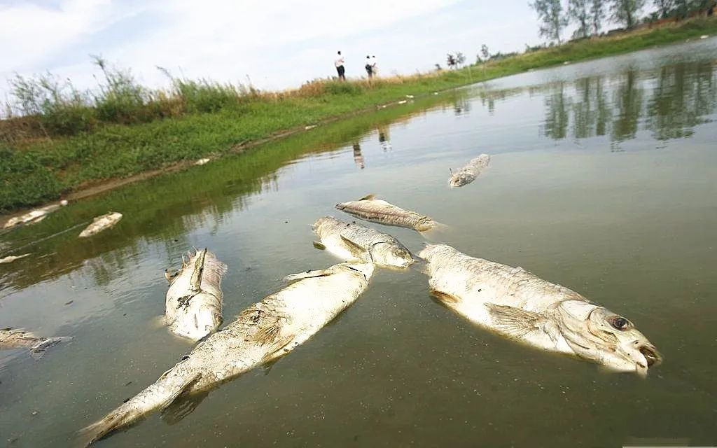 圖片1.png 圖片1.png